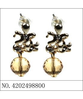 Earrings Brown