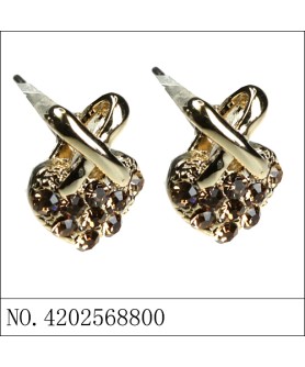 Earrings Brown