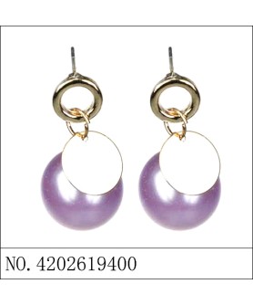 Earrings Purple