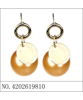 Earrings Brown