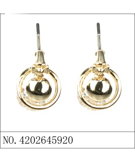 Earrings Gold