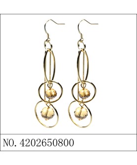 Earrings Brown