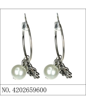 Earrings Gray