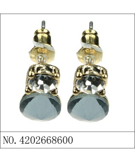 Earrings Gray