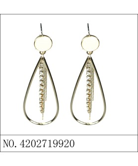 Earrings Gold