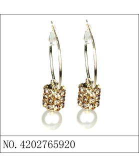 Earrings Gold