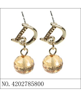 Earrings Brown