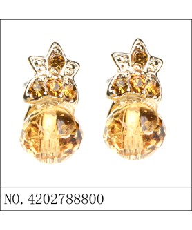 Earrings Brown