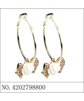 Earrings Brown