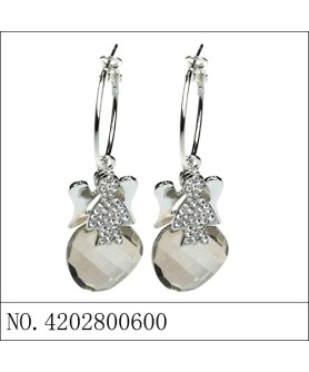 Earrings Gray