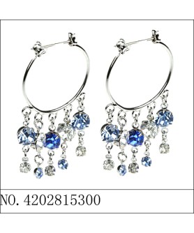 Earrings Blue