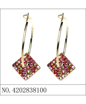 Earrings Red