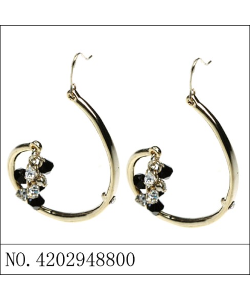 Earrings Brown