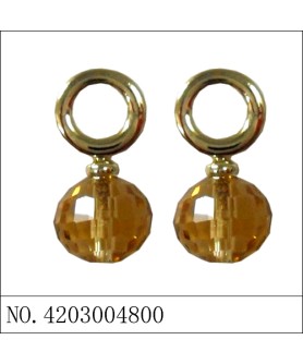 Earrings Brown