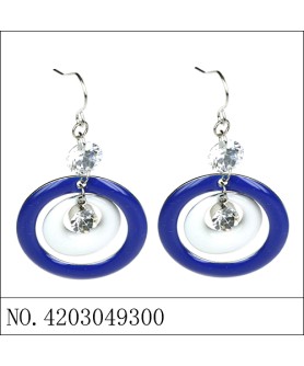 Earrings Blue