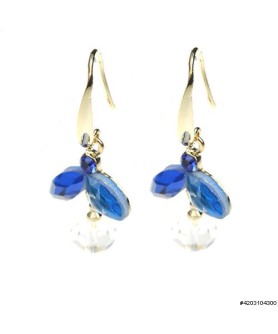 Earrings Blue