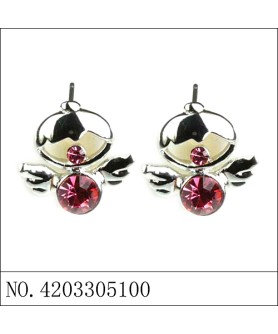 Earrings Red