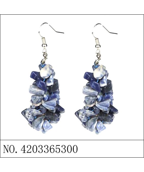 Earrings Blue