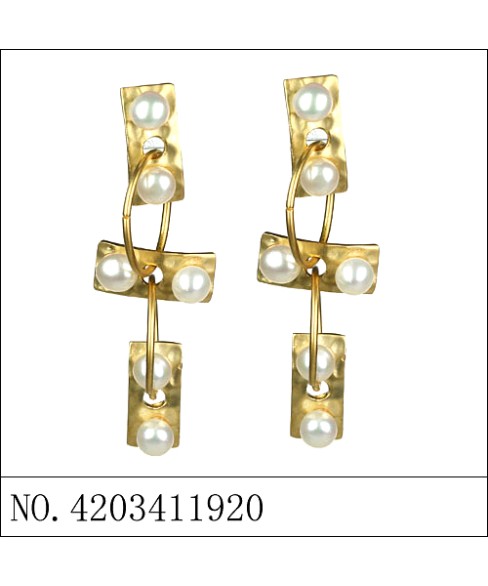 Earrings Gold