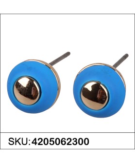 Earrings Blue