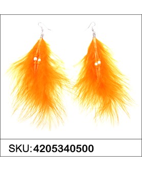 Earrings Orange