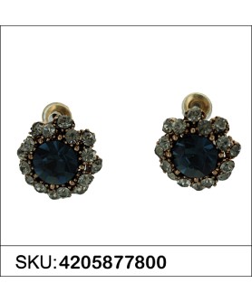 Earrings Brown