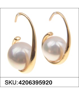 Earrings Gold