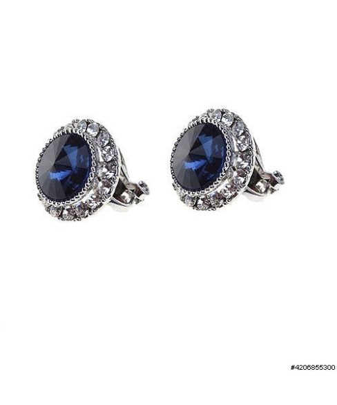 Earrings Blue