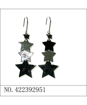 Earrings White Gold