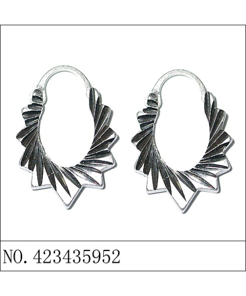 Earrings White Gold