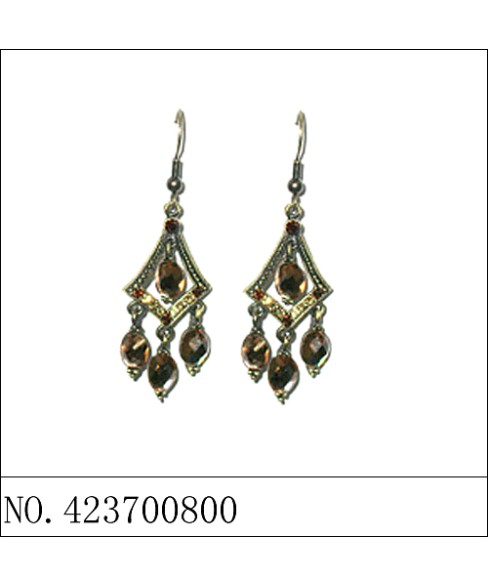 Earrings Brown