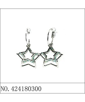 Earrings Blue