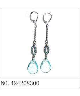 Earrings Blue