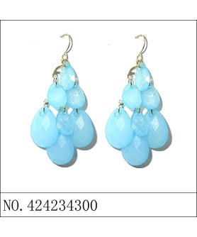 Earrings Blue