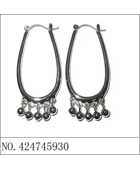 Earrings Silver