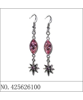 Earrings Red