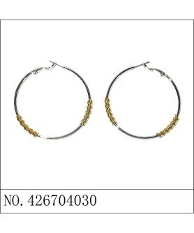 Earrings Stripe