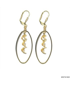 Earrings Gold