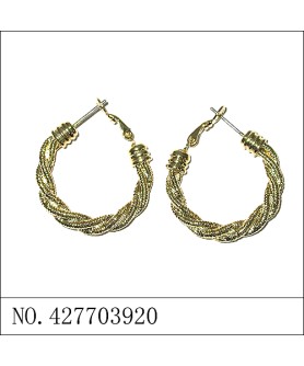 Earrings Gold