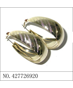 Earrings Gold