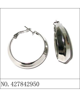 Earrings White Gold