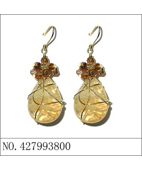 Earrings Brown