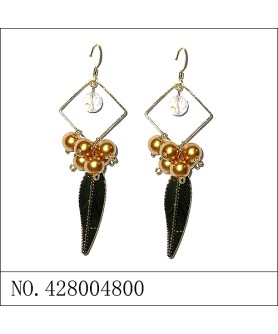 Earrings Brown