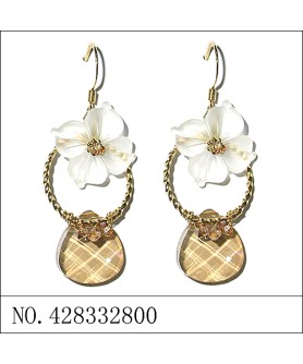 Earrings Brown