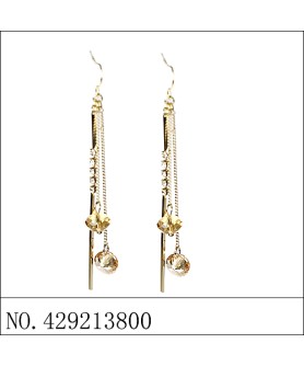 Earrings Brown