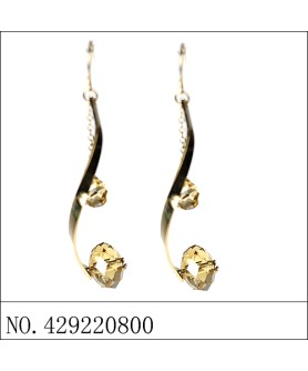 Earrings Brown