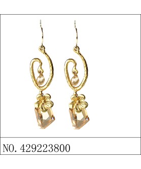 Earrings Brown