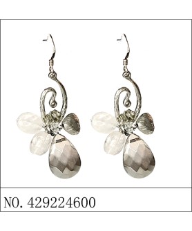 Earrings Gray