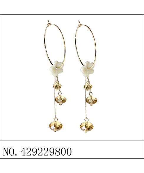 Earrings Brown