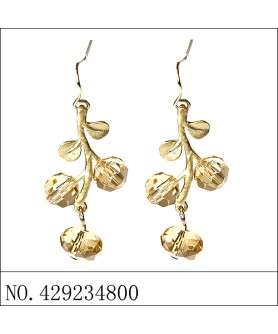 Earrings Brown